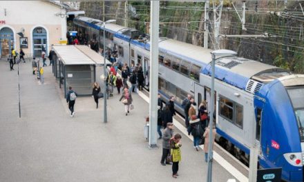 Les conditions de transport des TER Vallée du Rhône jugées “intolérables” : une manifestation des usagers annoncée jeudi en gare de Vienne