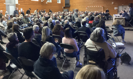 Plus de 300 personnes pour  découvrir et s’impliquer dans les enjeux du futur quartier de Vienne/Sévenne qui va s’étendre sur 12 ha