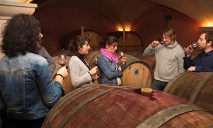 Vienne/Seyssuel/Chasse-sur-Rhône : les 18 domaines viticoles de la rive gauche du Rhône fêtent samedi 5 novembre  les « Pressailles »