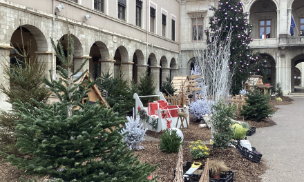 Du Père Noël à la parade lumineuse, en passant par un show d’Eric Lee : le programme complet aujourd’hui de la Fête du 8 décembre à Vienne