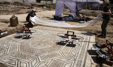 Conférence le 10 décembre au musée de St-Romain-en-Gal sur les dernières mosaïques découvertes dont celles du « Petit Pompéi » à Ste-Colombe