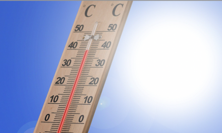 Climadiag-Quel temps à Vienne en 2050 ? Chaud, très chaud : 11 vagues de chaleur par an en moyenne…