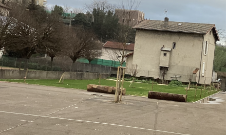 A l’exemple de Pierre-et-Marie Curie à Estressin  : finies les cours d’école 100 % macadam à Vienne, place désormais au vert…