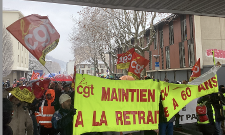 Un record : 3 000 manifestants dans les rues de Vienne pour s’opposer à la réforme des retraites