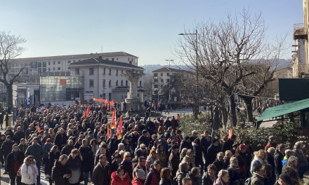 Réforme des retraites : 1 TER sur 2 en circulation et 5ème et nouvelle manif à Vienne, jeudi 16 février