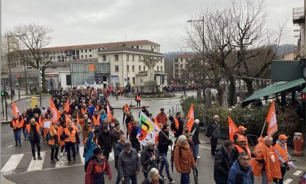 Réforme des retraites-La mobilisation en baisse : 1 100 manifestants dans les rues de Vienne