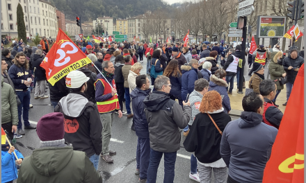 Réforme des retraites, après le 49.3 : la 9ème manifestation à Vienne va-t-elle battre tous les records ?