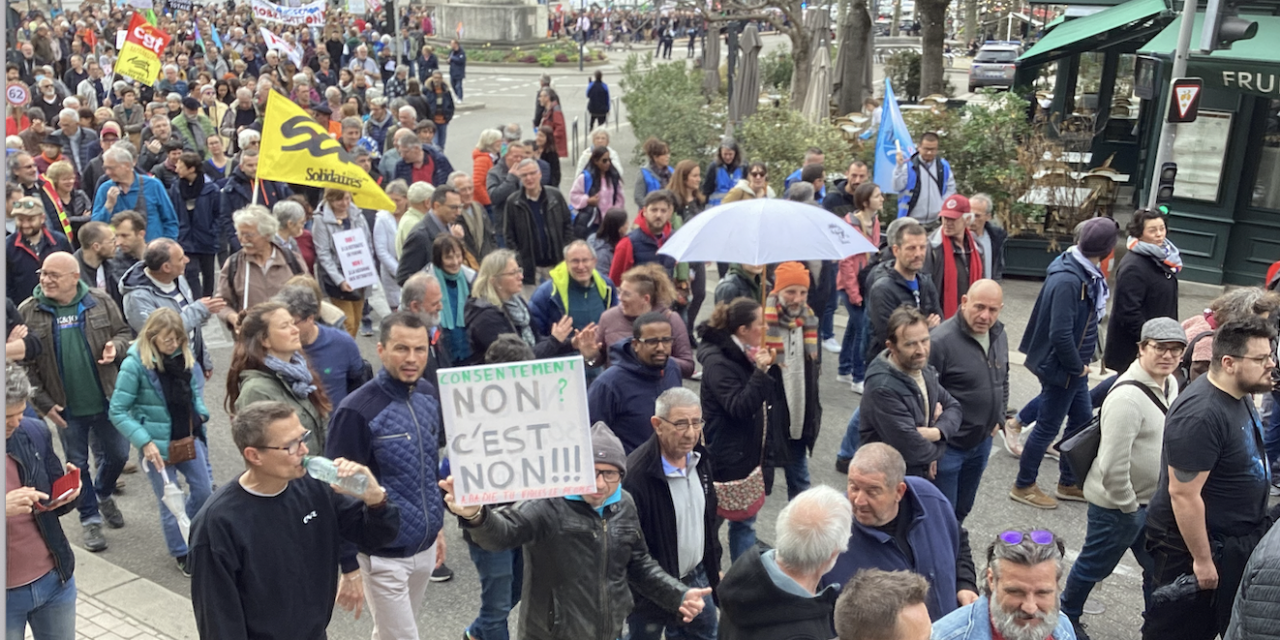 Réforme des retraites : record battu avec 3 500 manifestants à Vienne rassemblés au sein d’un cortège coloré et animé