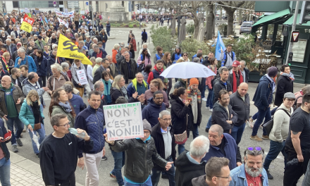 Réforme des retraites : record battu avec 3 500 manifestants à Vienne rassemblés au sein d’un cortège coloré et animé