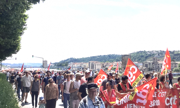 14ème Journée de mobilisation contre la réforme des retraites : la manifestation la moins dense de toutes avec 800 personnes dans les rues de Vienne