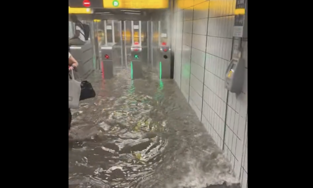 Station de métro sous les eaux, un mois de pluie en deux heures : méga-orage sur Lyon samedi soir