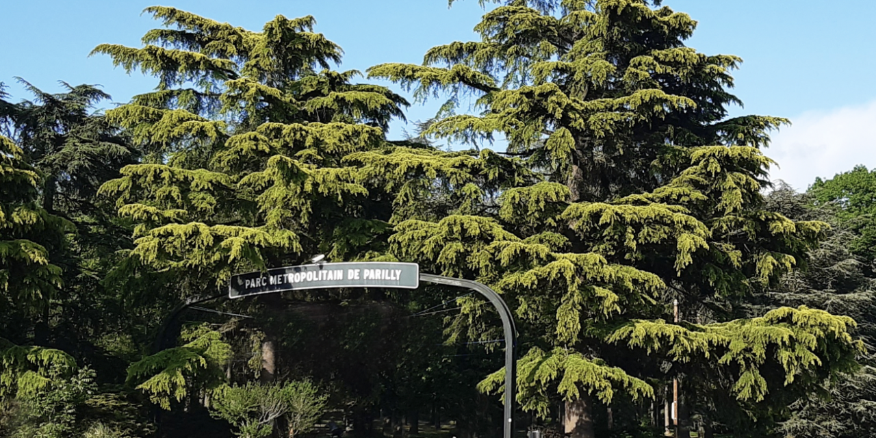 Alerte rouge canicule dans la Métropole de Lyon : parcs ouverts en soirée, musées gratuits, carte des lieux frais, sorties annulées, etc.