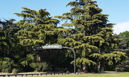 Alerte rouge canicule dans la Métropole de Lyon : parcs ouverts en soirée, musées gratuits, carte des lieux frais, sorties annulées, etc.