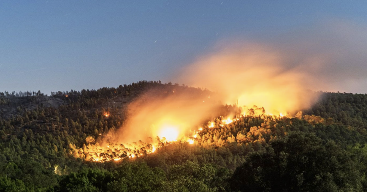 Parallèlement à l’alerte orange canicule, la préfecture met en garde contre « un risque sévère de feux de forêt en Nord-Isère »