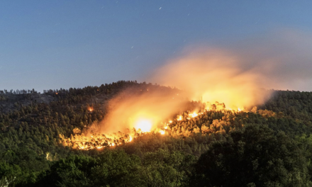 Parallèlement à l’alerte orange canicule, la préfecture met en garde contre « un risque sévère de feux de forêt en Nord-Isère »
