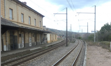 Pour accélérer le retour des trains de voyageurs sur la rive droite du Rhône, les élus organisent des pressailles (revendicatives) du train…