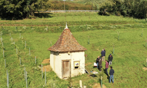 L’opération est  lancée : la Ligue de Protection des Oiseaux se donne  trois ans pour « rénover le petit bâti rural » en Isère afin de préserver la faune menacée