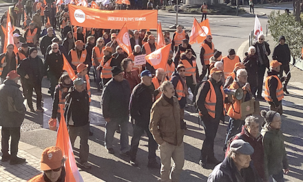 Manifestation intersyndicale à Vienne, vendredi 13 octobre : 4 sites scolaires fermés, un service minimum mis en place