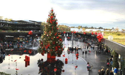 Un Black Friday avec  problèmes de parking au sein du centre commercial outlet : « The Village » de Villefontaine, victime de son succès