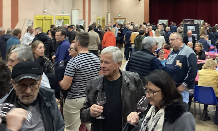 Salon de la bière artisanale, Pressailles de Vitis Viennas : où sortir à Vienne et alentours, ce week-end ?