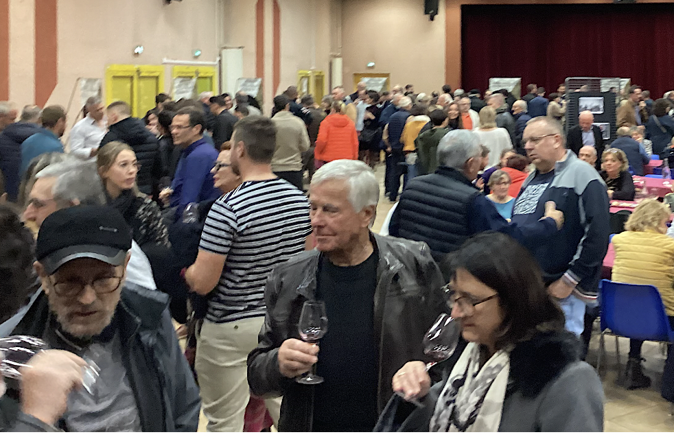 Salon de la bière artisanale, Pressailles de Vitis Viennas : où sortir à Vienne et alentours, ce week-end ?