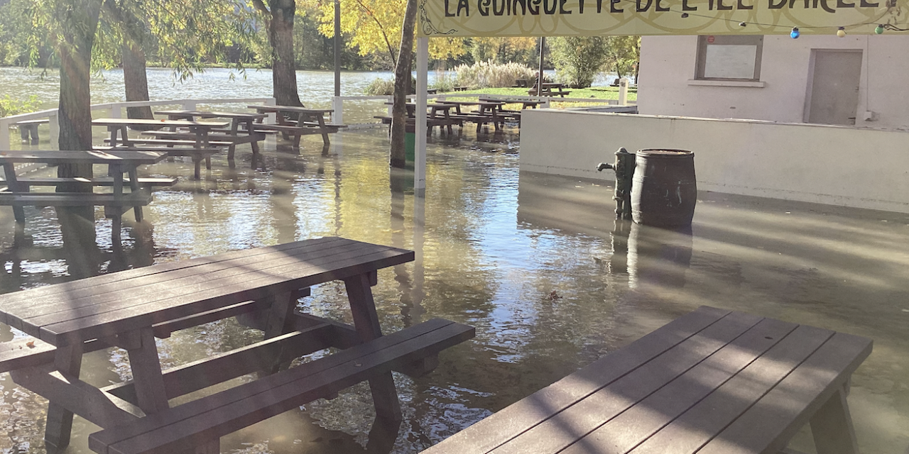 Le Rhône en vigilance jaune « crue » : la guinguette de l’Ile Barlet les pieds dans l’eau