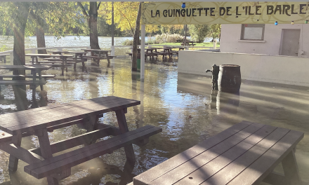 Le Rhône en vigilance jaune « crue » : la guinguette de l’Ile Barlet les pieds dans l’eau