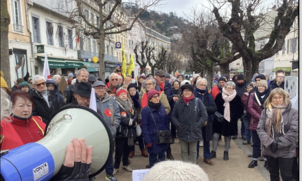 Cent-cinquante personnes rassemblées dimanche matin contre la loi immigration cours Romestang à Vienne