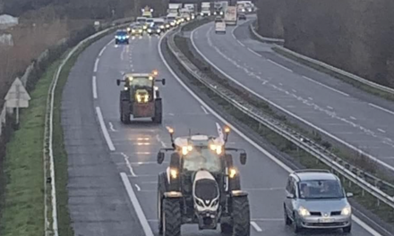 L’autoroute A 7 coupée à Saint-Rambert-d’Albon : les agriculteurs semblent déterminés à rester le temps qu’il faudra…