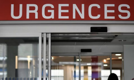 Les hospitalisations pour cause de grippe en hausse de 160 % en une semaine : Auvergne-Rhône-Alpes placée en phase épidémique