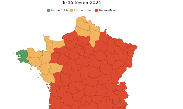 Avec beaucoup d’avance : alerte rouge aux pollens en Auvergne-Rhône-Alpes