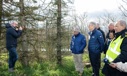 Le Département de l’Isère s’apprête à abattre… 1 500 arbres, des épicéas, le long de l’axe Bièvre