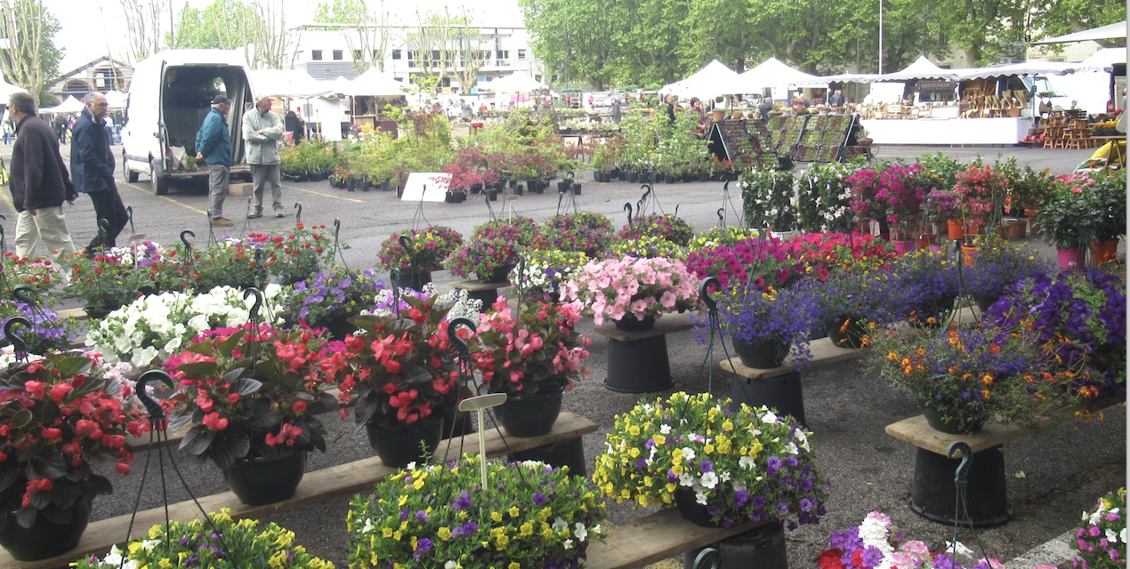 Vienne en fleurs, Jeux du cirque, Halle des Bouchers, Stand-up, Vélo Village, etc. : où sortir à à Vienne et alentours, ce week-end et…lundi