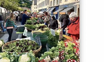 Le Figaro fait la « promo » touristique de Vienne, décrite comme  » la petite Rome de la Vallée du Rhône « 