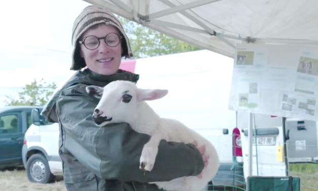 Printemps des fermes, Jazz à Saint-Romain, Rock avec Factory  chez Passerelles, etc. : où sortir à Vienne et alentours ce week-end et…mardi