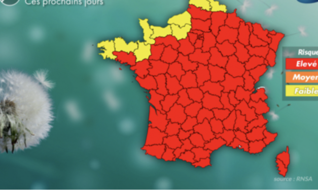 Alerte rouge aux allergènes en Isère ce week-end