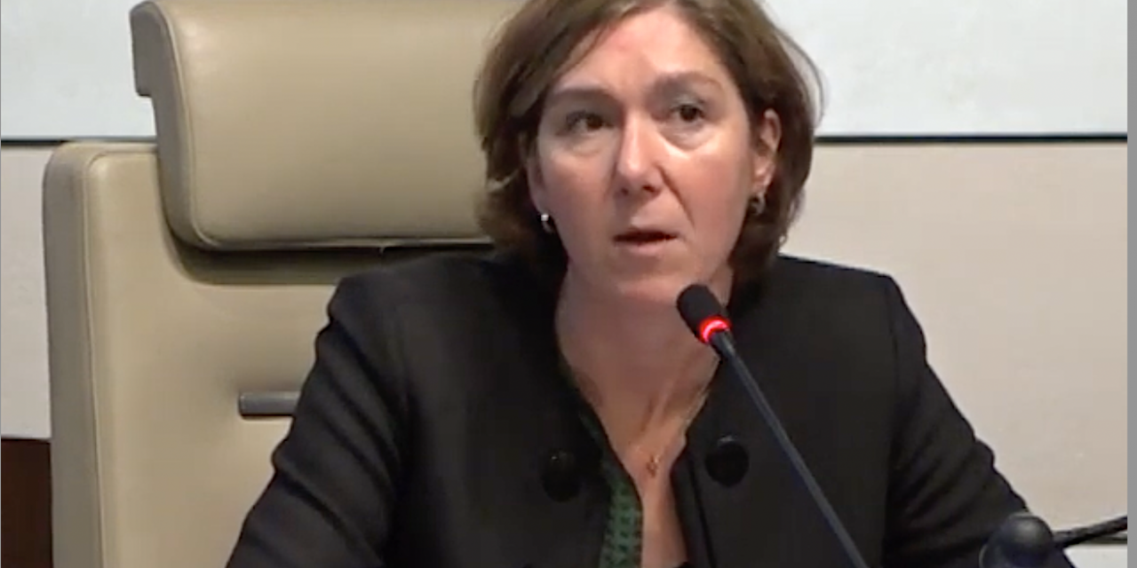 En provenance des HCL à Lyon, Céline  Vigné, nouvelle directrice de l’hôpital de Vienne