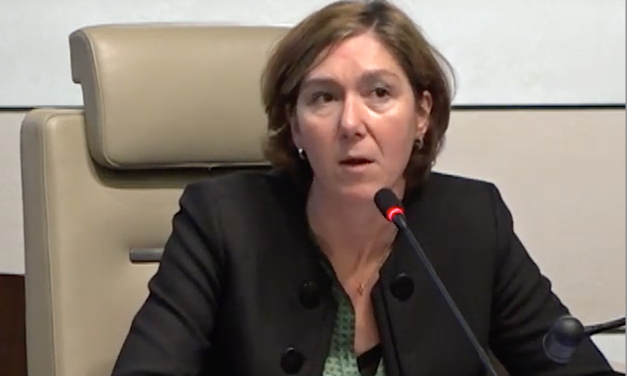 En provenance des HCL à Lyon, Céline  Vigné, nouvelle directrice de l’hôpital de Vienne