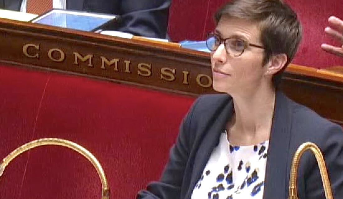 Législatives, 8ème circonscription : Caroline Abadie, députée sortante va se représenter pour la 3ème fois. mais derrière, quels candidats ?