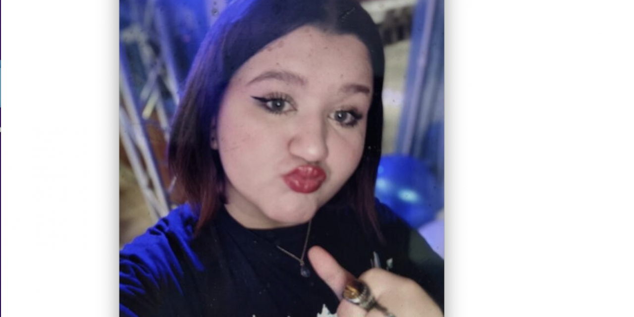 Elle a disparu. Les gendarmes lancent un appel à témoins pour retrouver Méline, 15 ans. Son téléphone a borné à Vienne