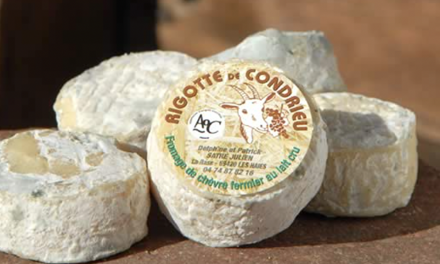 « Le risque de perdre l’appellation est préoccupant ». Comment sauver la Rigotte de Condrieu..?