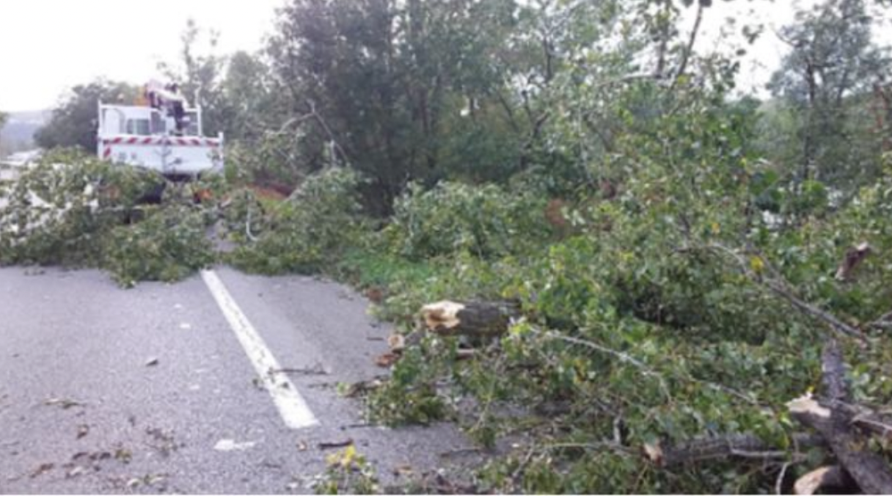 Les dégâts de la tempête Kirk dans le Rhône : près de 90 interventions des services du Département