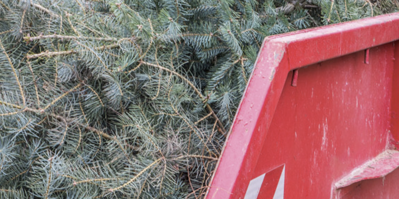 Collecte des sapins à Vienne : où trouver les bennes en centre-ville et dans le quartiers..?