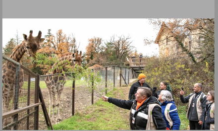 Nouveau nom et nouveau tandem de direction pour le Safari Parc de Peaugres