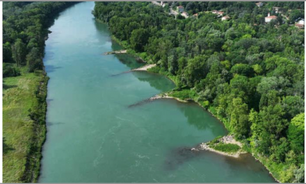 La CNR investit 8 millions d’euros pour restaurer le vieux Rhône au Nord de Vienne