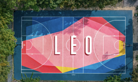 Réactions politiques à la diminution de 45 000 euros de la subvention du Club Léo Lagrange  : le PS et les Ecologistes réagissent vivement