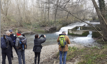 Nouveau, dimanche 30 mars, trois randos-santé proposées en ville : « Vienne la Romaine, au fil de vos pas ».