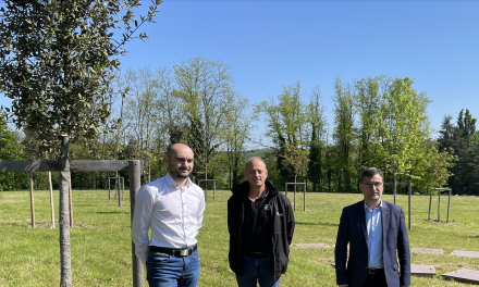Plan mille arbres de la Ville de Vienne lancé en 2020 : l’objectif vient d’être atteint