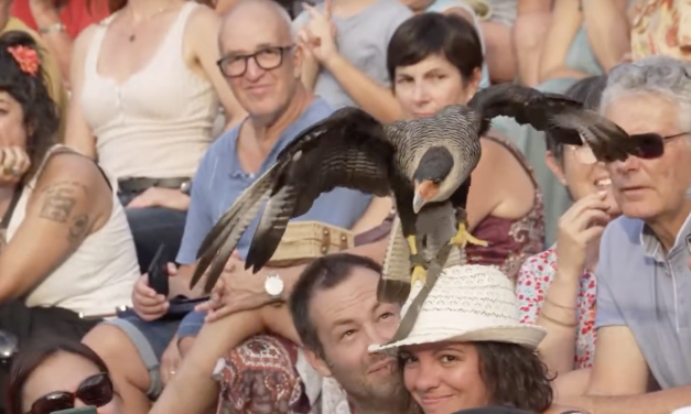Vidéo : retour sur l’édition 2023 de la Fete Historique de Vienne, « Les Templiers dans la cité »