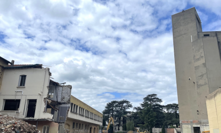 Le silo à grains de 30 mètres de haut de la Coopérative Dauphinoise à Vienne va être démoli du 12 au 16 mai : il  sera grignoté peu à peu par une immense grue…